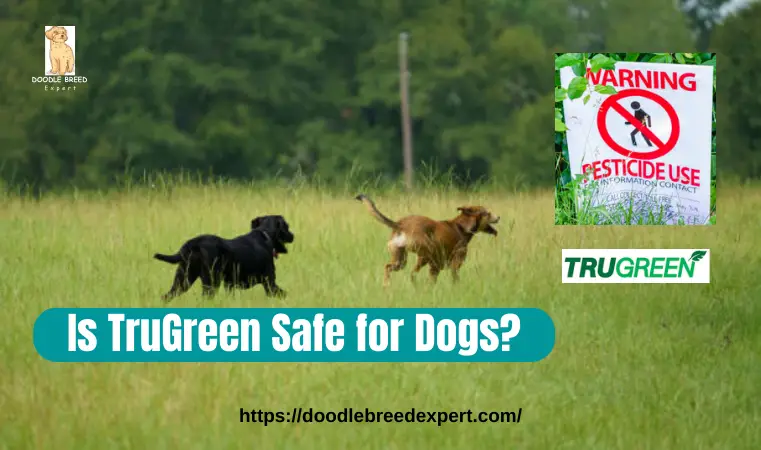Is TruGreen Safe for Dogs