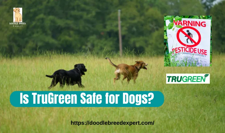 Is TruGreen Safe for Dogs