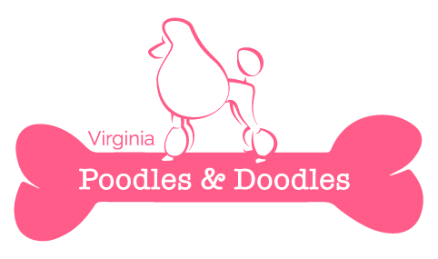 Virginia Poodles and Doodles