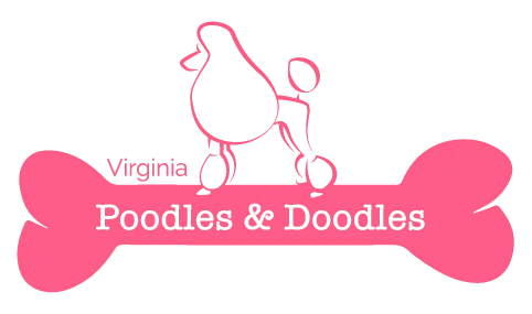 Virginia Poodles and Doodles