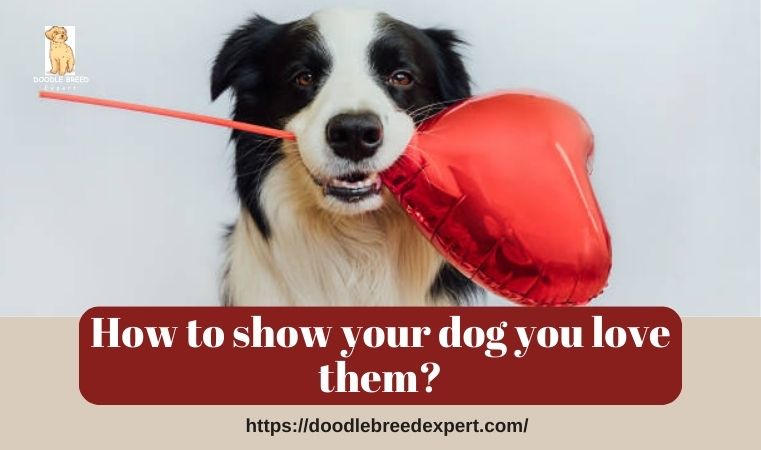 How to show your dog you love them