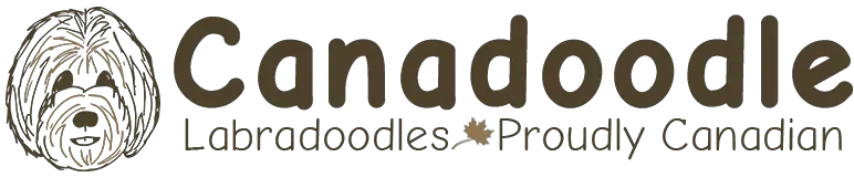 Canadoodle British Columbia