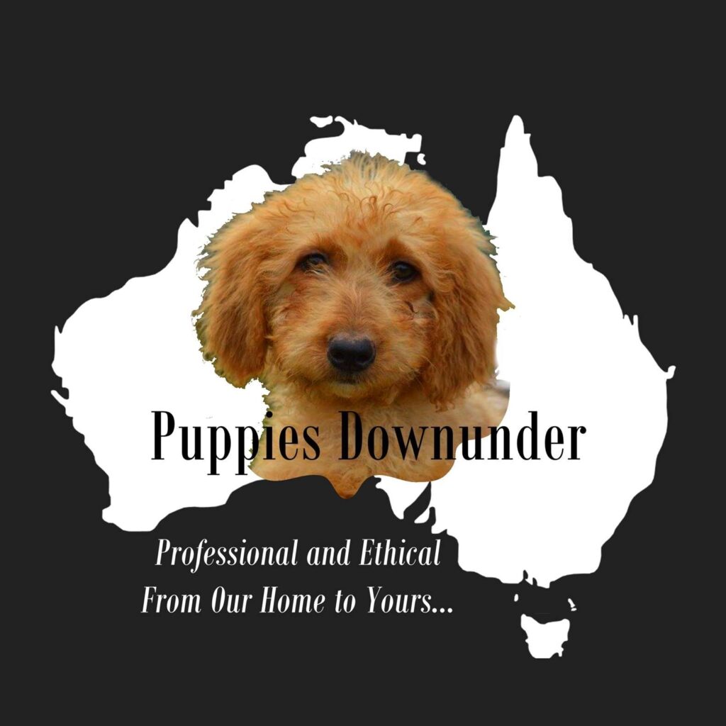 Puppies Downunder Australia