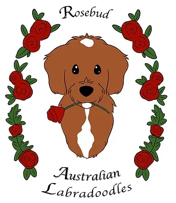Rosebud Australian Labradoodles