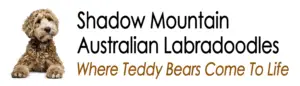 Shadow Mountain Australian Labradoodles
