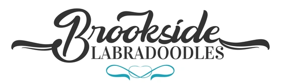 Brookside Labradoodles California