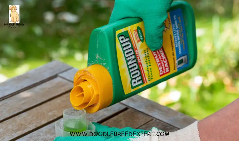 Is Roundup safe for dogs