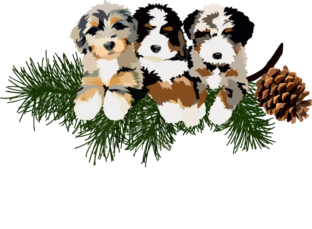 Blue Skye Doodles California
