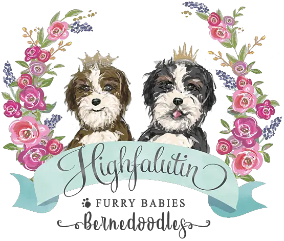 Highfalutin Furry Babies Florida