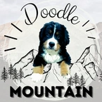 Doodle Mountain Georgia