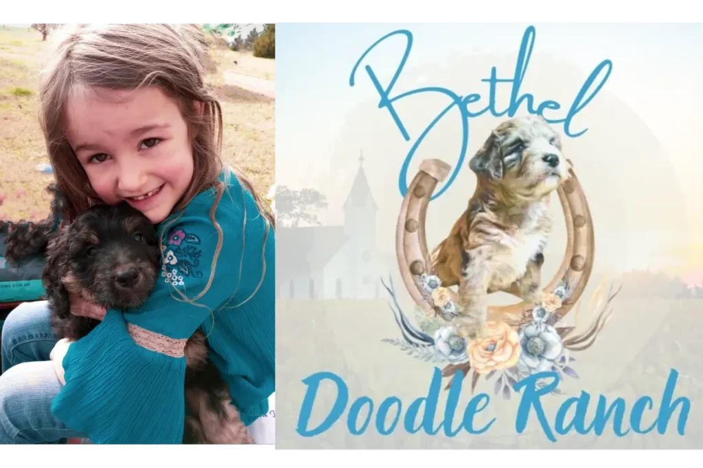 Bethel Doodle Ranch