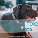 Dog Chocolate Toxicity Calculator