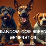 Random dog breed generator - group of different dog breeds