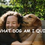 What dog am I quiz - smiling woman hugging her dog
